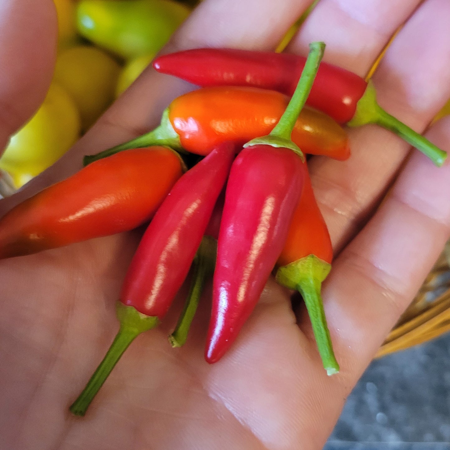 Hot Pepper - Matchbox Chili