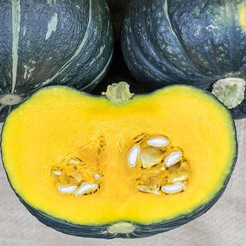 Squash - Kirinishiki mini Kabocha