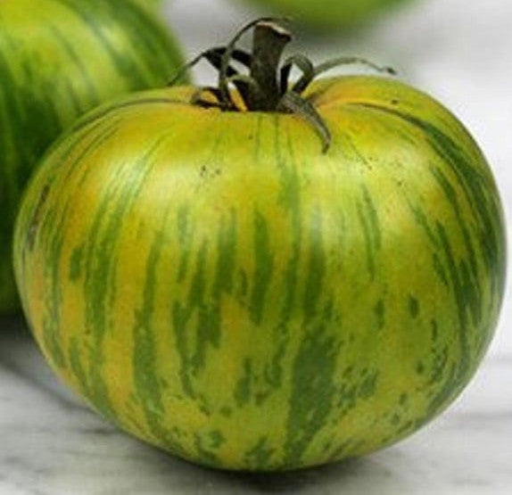 Tomato - Green Zebra