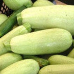 Zucchini - Lebanese Bush