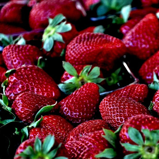 Strawberry - Cavendish